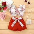 thumbnail image 2 of Odeerbi Baby Girls Boys Clothes Baby Outfits Shirts Sets Toddler 2024 Fashion Cute Flowers Print Pleated Flying Sleeves Top Belt Shorts Suit, 2 of 9