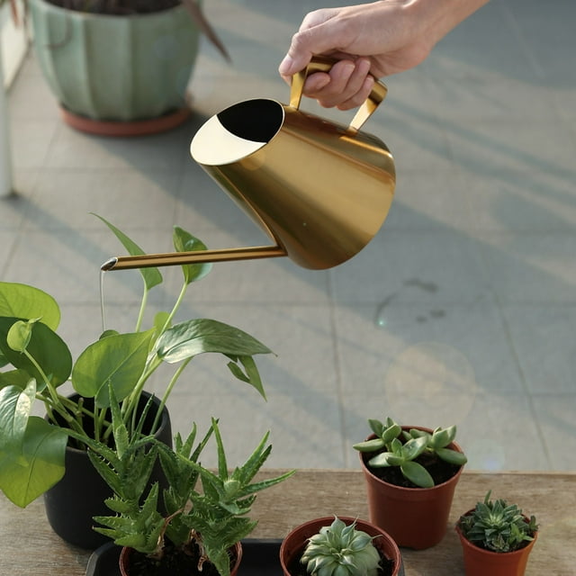 Fiudx Regadera de Acero Inoxidable, Caño Largo Ergonómico, Acabado Pulido Duradero, Ideal para Plantas de Interior y Exterior, Uso En Oficina y Jardín, Capacidad de 400 Ml, Tamaño 10,5 X 10,5 X 13 Cm