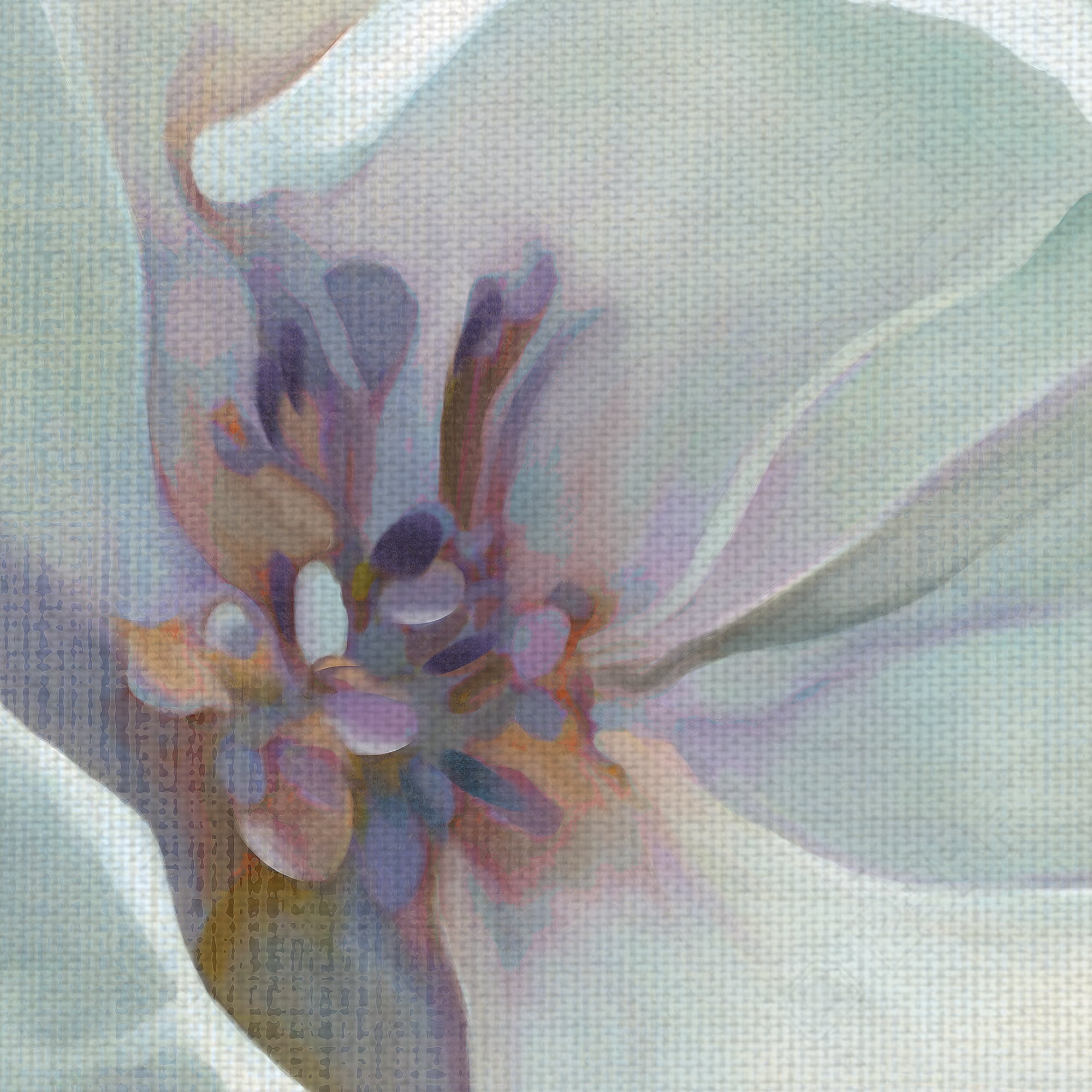 Masterpiece Art Gallery Iridescent Bloom I White Flower By Carol Robinson Canvas Art Print 24" x 24"