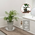 "Large Plant Saucers, Plastic Trays for Indoor/Outdoor, Clear 12"" Flower Pot Drip Planter, Pack