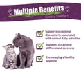 thumbnail image 2 of Amber NaturalZ Catizol for Cats | Promotes Physical and Mental Well-Being 1oz, 2 of 6