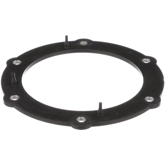 Delphi Fuel Pump Tank Seal