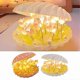 thumbnail image 1 of Tulip Night Light Diy Material Bedside Sleep Light Shell Handmade Artificial Flower Night Light Diy Accessories Seashell Lamp, 1 of 4
