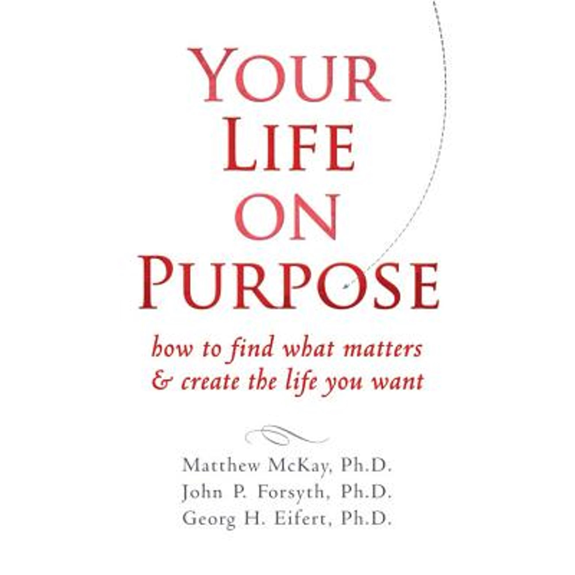 Your Life on Purpose : How to Find What Matters & Create the Life You Want (Paperback)