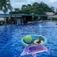thumbnail image 3 of KAKOWELY Delfín inflable para playa, juguete inflable para piscina, decoración para fiestas, 3 of 5