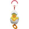 Animal Habitat Chick