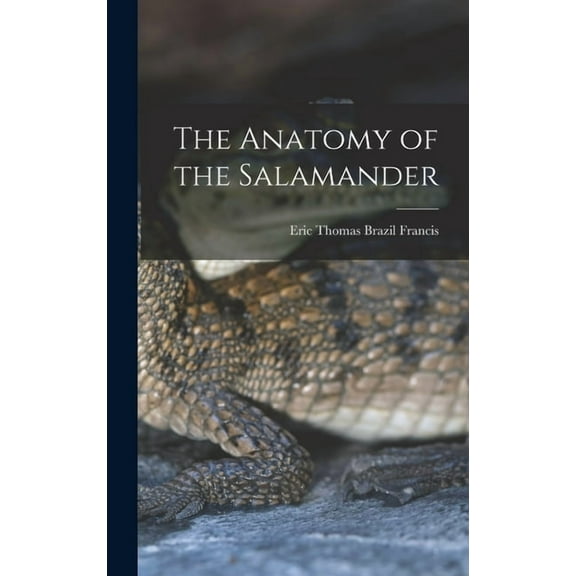 The Anatomy of the Salamander