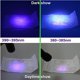 thumbnail image 5 of Luces Uv 395Nm Linterna Ultravioleta Detector Linterna Para Perro Gato Orina Moneda Escorpiones Pasaporte 21 Leds Linterna Uv Inevent HA017904-00, 5 of 7
