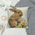 thumbnail image 2 of Nawypu Easter Bunny Pillow Covers Rabbit Spring Happy Easter Gray Cushion Covers Farmhouse Holiday Watercolor Spring Welcome Pillow Cases for Sofa Couch Living Room Bed Office Patio Bench, 2 of 5