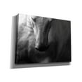 thumbnail image 2 of Epic Graffiti 'fado1' by Susan Friedman,, 16"x12", 2 of 8