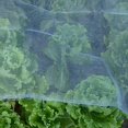 thumbnail image 2 of 6.5' x 12' Mosquito Bug Insect Bird Net Barrier Hunting Blind Garden Netting for Protect Your Plant Fruits Flower, 2 of 2