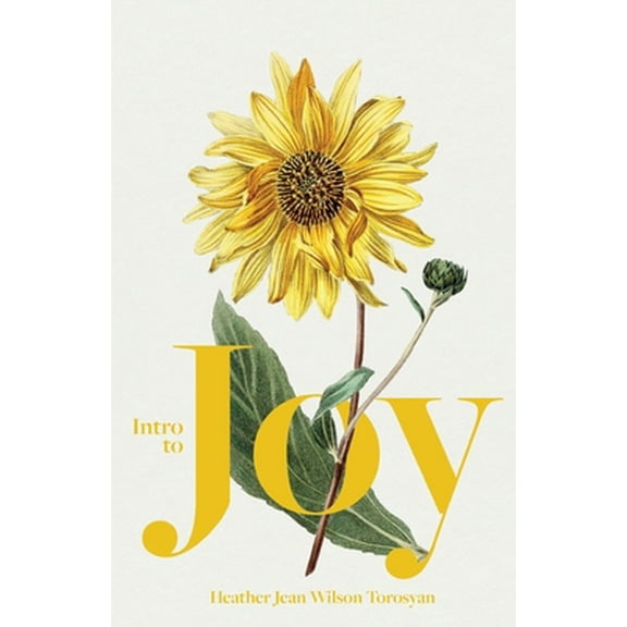 Pre-Owned Intro to Joy (Paperback) 1882840429 9781882840427