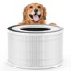 thumbnail image 1 of Filtro de repuesto para mascotas para purificadores de aire Afloia Fillo, 1 of 6