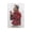 Unframe-style, variant on Nick Saban Canvas Poster Room Aesthetic Poster Print Art Wall Painting Canvas Posters Gifts Modern Bedroom Decor 12x18inch(30x45cm)