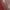 Red, variant on Jamicy Thermal Underwear for Women Winter Wear Ribbed Tank Top with Sewn In Built In Bra Cup Sleevless form Fitting Push Up Padded Bra Cami Shirt Basic Knit Tee