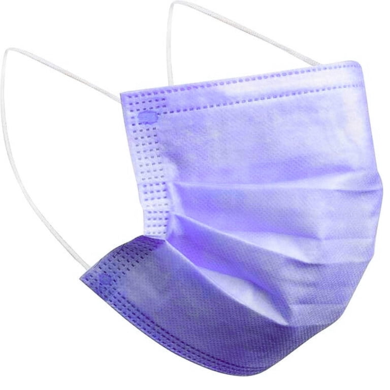 Disposable 3-Ply Face Masks with Elastic Earloops: 10CT - Walmart.com