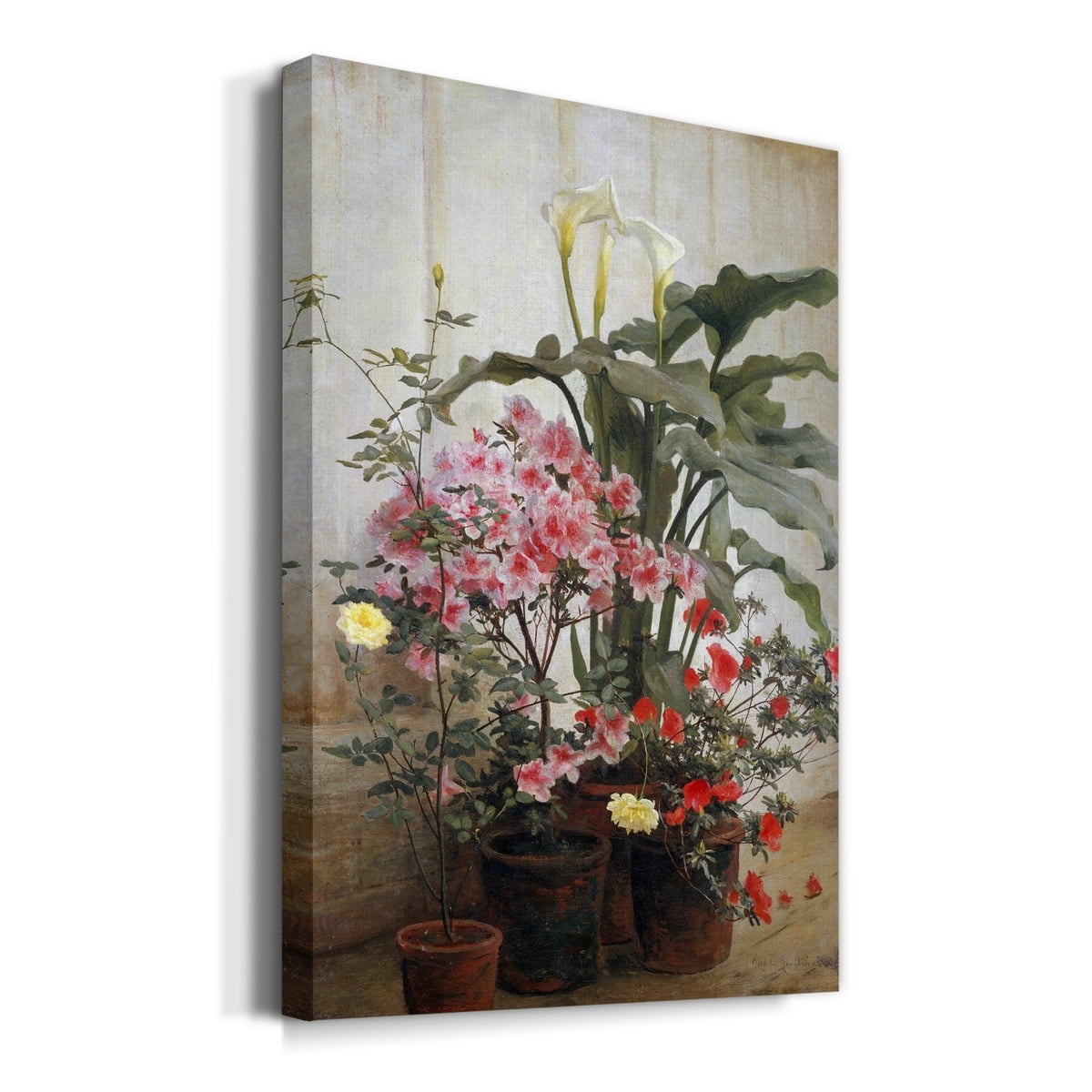 Side of a Greenhouse Premium Gallery Wrapped Canvas - Ready to Hang - 32 x 48
