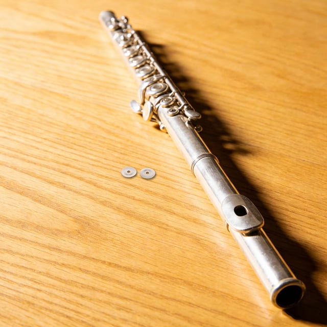 BESTYASH 20Ud Herramientas Para Flute De Acero Inoxidable Con Gasket De Tornillo Para Uso Doméstico