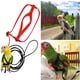thumbnail image 3 of Greeniant Correa voladora para mascotas al aire libre, para acampar, viajar, senderismo, portátil, ajustable, arnés de pecho para animales pequeños y Aseo de mascotas SG Greeniant PT005028-06, 3 of 6