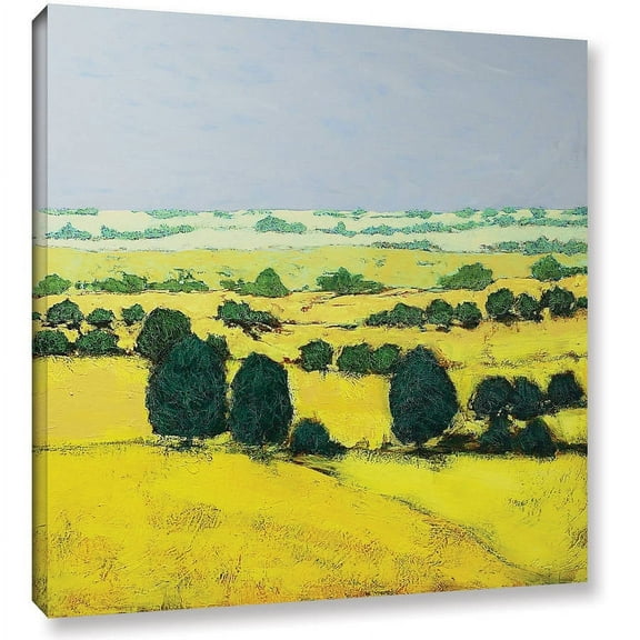 ArtWall Allan Friedlander "Next Hill" Gallery-wrapped Canvas