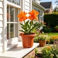 thumbnail image 5 of Hvmvliv Large Decorative Plastic Flower Pot for Home Garden and Horticultural Planting with Imitation Ceramic Brown Finish, 5 of 7