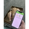 thumbnail image 4 of BYXAS Real-Time Alerts Wireless Meat Thermometer - Smart Bluetooth Probe for BBQ, Grill, Oven, Smoker - Long Range Bluetooth, Accuracy Temp, Dishwasher Clean, Waterproof - Perfect for BBQ Lovers, 4 of 10