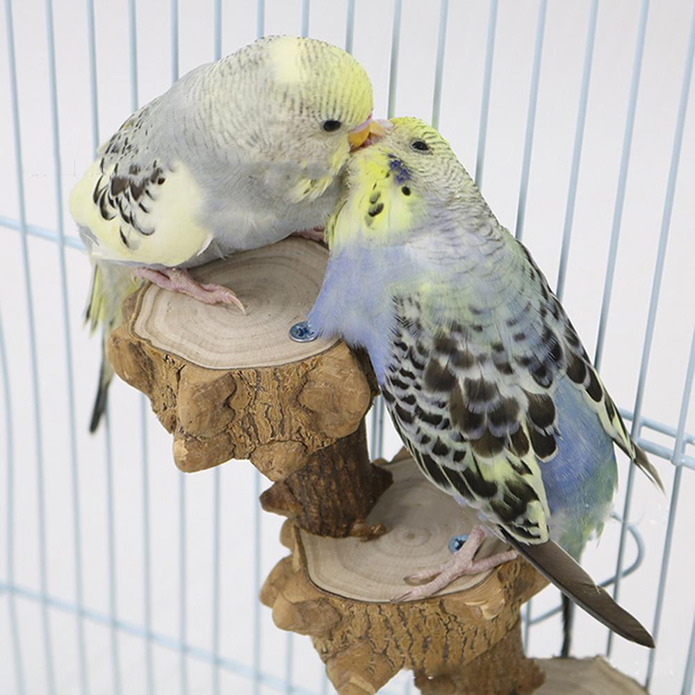 Natural Wood Corner Shelter Lightweight Hamsters Perrot Bird Platform 