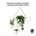 thumbnail image 6 of Umbra Trigg Ceramic Hanging Planter Wall Décor Large White/Brass, 6 of 21