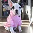 thumbnail image 5 of Cozy Winter Dog Hoodie for Small Dogs & Cats - Fleece Lined Chihuahua Sweater with Pocket, Autumn Puppy Outfits (Pink, M), 5 of 6