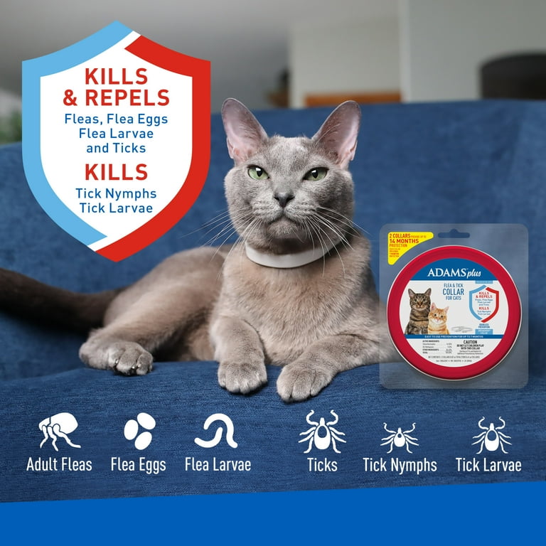 Adams Plus Collar for Cats 2 Each