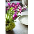 thumbnail image 2 of Millet, Karyn 11x14 White Modern Wood Framed Museum Art Print Titled - Orchid III, 2 of 4