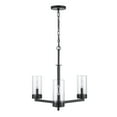 thumbnail image 6 of Trans Globe Lighting 717353 Meadowlark 3 Light 22" Wide Chandelier - Black, 6 of 6
