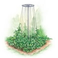 thumbnail image 2 of Gardens Alive! Galvanized Steel Bean Support Tower - Can support up to 12 plants - 6 ft tall x 30 In Diameter, 2 of 2