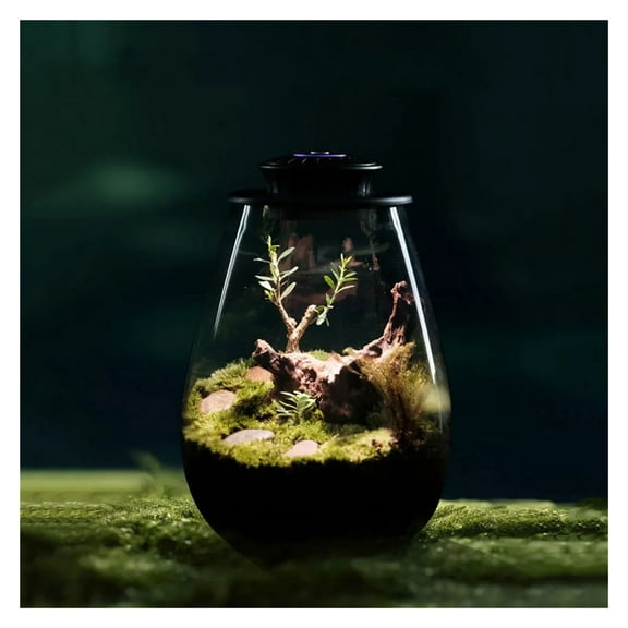 Desktop Miniature Plant Light with Timer Glass Terrarium Plant Growing Lamp Plant Grow Light for Miniature Gardening Landscape ,Thrive