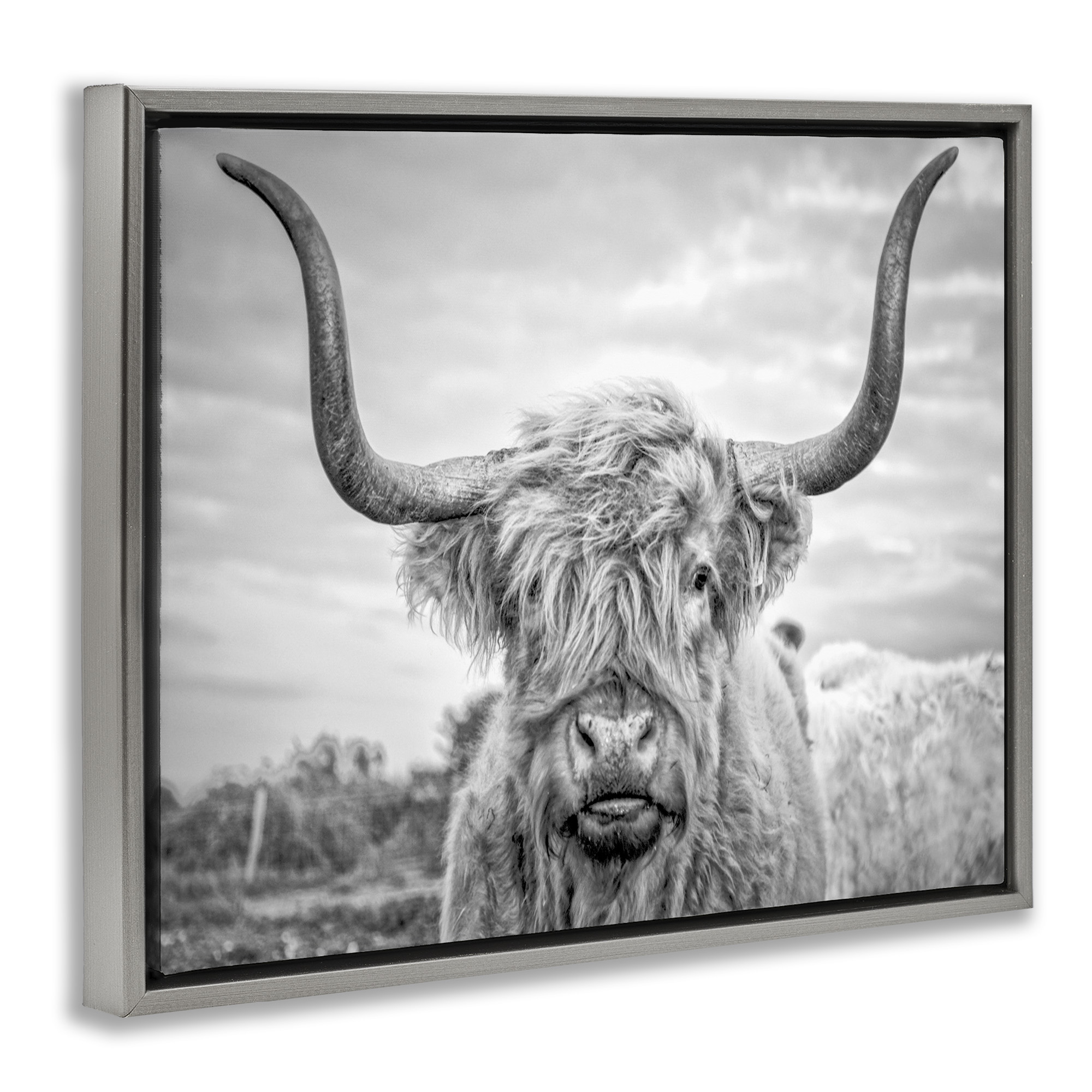 Stupell Industries Black and White Highland Cow Photograph Luster Gray Framed Floating Canvas Wall Art, 24x30, by Joe Reynolds