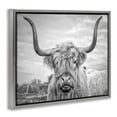 thumbnail image 3 of Stupell Industries Black and White Highland Cow Photograph Luster Gray Framed Floating Canvas Wall Art, 24x30, by Joe Reynolds, 3 of 9