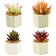 thumbnail image 1 of 4 Uds. De suculentas de simulación, flores bonsái, decoración creativa para el hogar, plantas verdes artificiales, 1 of 5