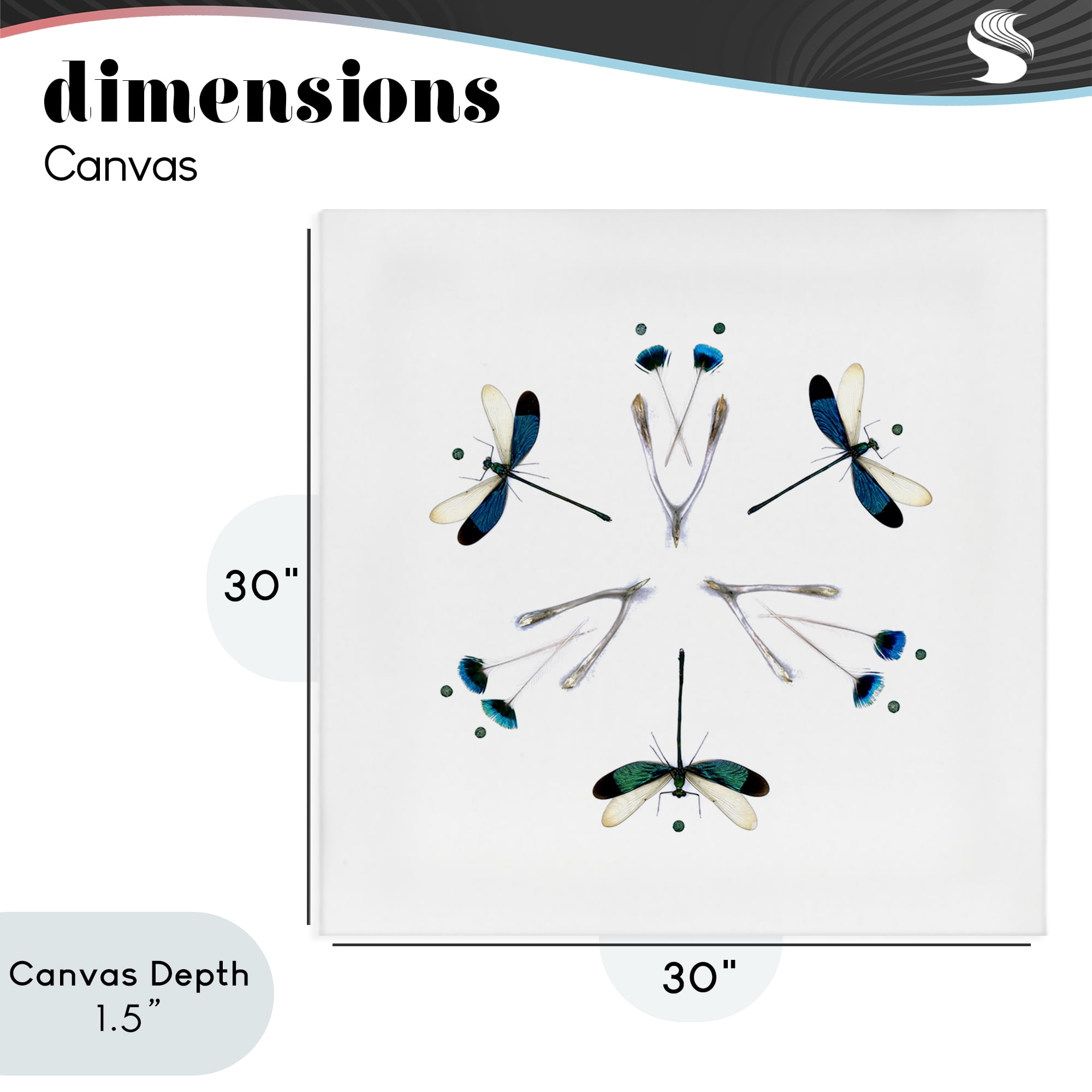 Stupell Industries Simple Dragonfly Symmetry Canvas Wall Art, design by Beth Adoette