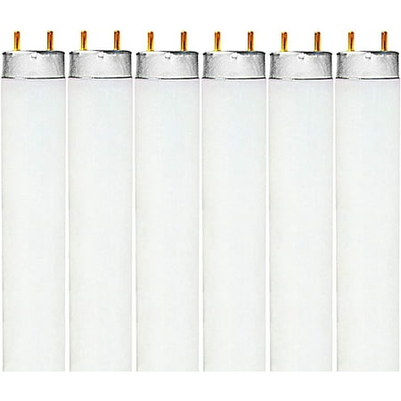 

DTLYH (30 Pack F32T8/765 32W 48 Inch T8 Fluorescent Tube Light Bulb 6500K Daylight 2650 Lumens G13 Medium Bi-Pin Base LR20735
