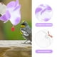 thumbnail image 4 of Comedero para colibríes de exterior con adorno floral. Herramienta para alimentar pájaros., 4 of 5