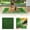 Green, variant on Pet Supplies Dog Toilet Fixed Defecation Pet Pot for Easy Cleaning Dog Mat and Kennel for Comfort and Convenience