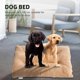 thumbnail image 1 of Dog Bed for Large Dogs Padded Dog Pillow Plush Dog Crate Bed Fluffy Cozy Kennel Pad for Sleeping Washable Dog Mats for Large Medium Dogs 60 x 100 cm, 1 of 5
