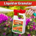 thumbnail image 2 of I Must Garden Mole & Vole Repellent - 1 Gallon Concentrate HOSE END REFILL Formula, 2 of 10