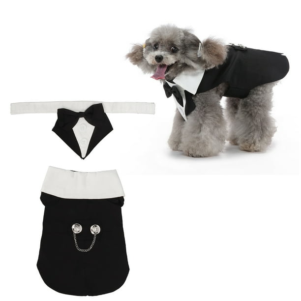 Bow tie puppy sales