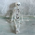 thumbnail image 1 of EIMELI Halloween Skeleton Decoration, 1 of 1