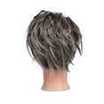 thumbnail image 3 of S-noilite Chignon Ondulé Duveteux Chouchous Extension de Cheveux Synthétiques pour Femmes, 3 of 3