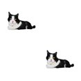 thumbnail image 2 of Vogacara Muñeco de gato, juguete de peluche realista, almohada para dormir, muebles, piel de aspecto , cierre para niños, ayuda para dormir, tipo 3 50 cm (0.32 kg) 2Conjunto, 2 of 6