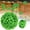 C, variant on Purple Grass Ball Artificial Plant Milan Grass Ball Plastic Boxwood Ball Eucalyptus Ball Wedding Party Outdoor Decoration Bonsai(20cm)