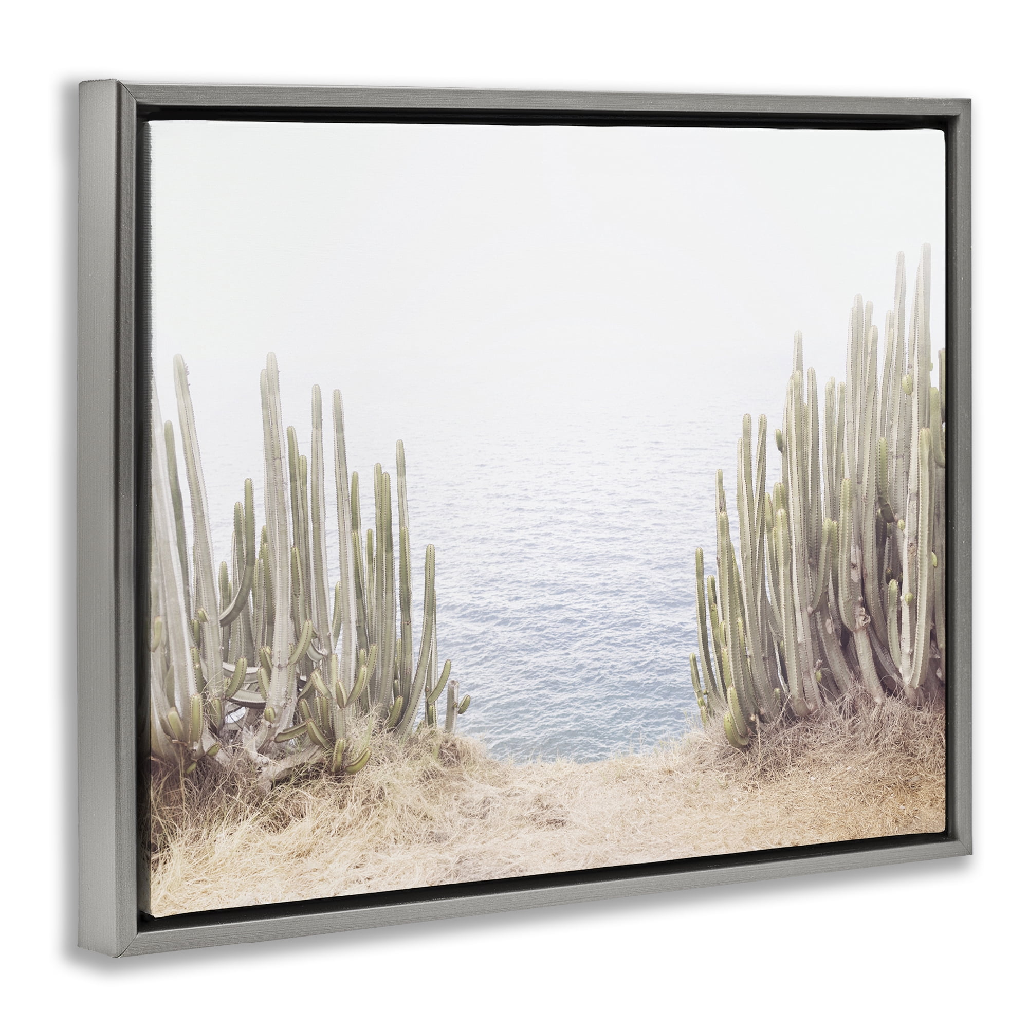 Stupell Industries Seaside Cacti Plants Nautical & Beach Photography Gray Floater Framed Canvas Art Print Wall Art, 31 x 25