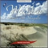 Sounds Of Earth: Wadden - Sands & Seagulls